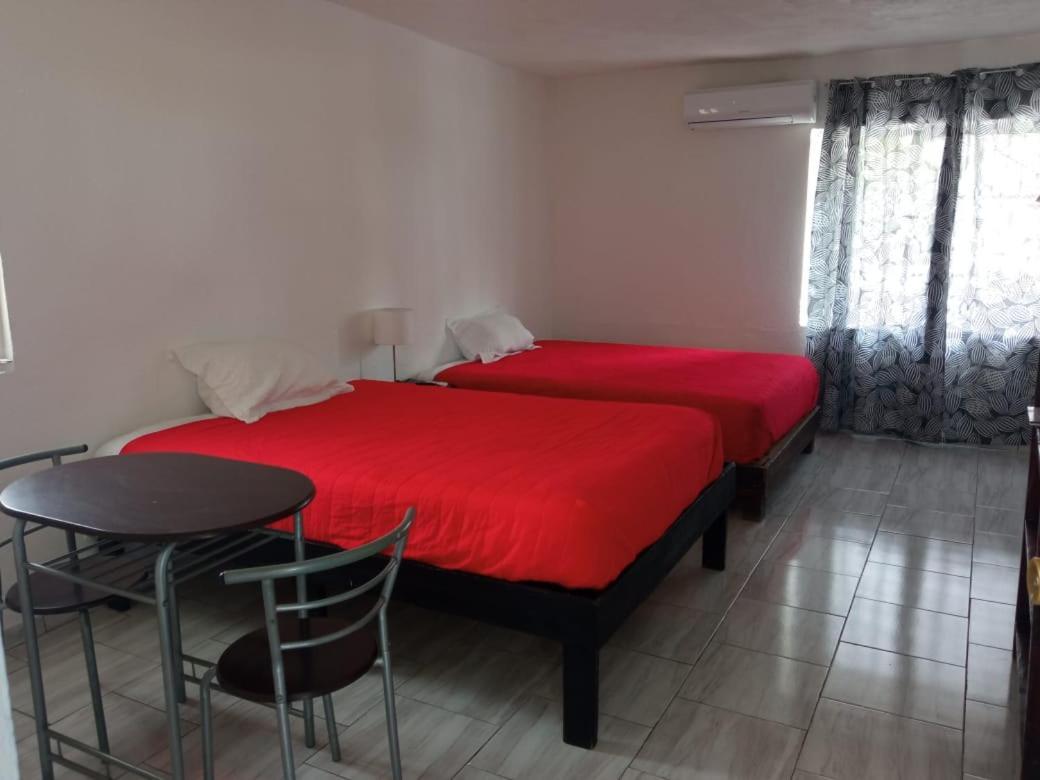 Hotel Casa Ceci Inn San José del Cabo 외부 사진